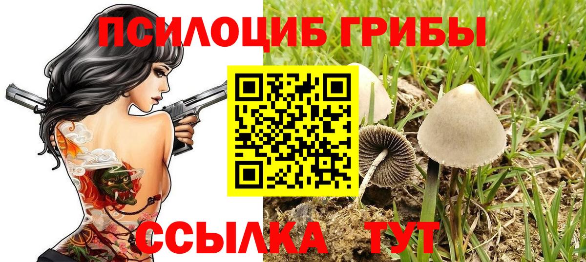 ГАШ Коммунар