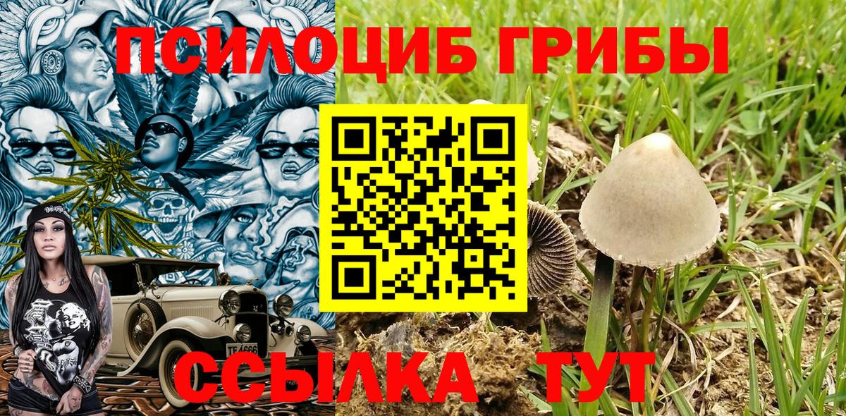Галлюциногенные грибы MAGIC MUSHROOMS  Псилоцибиновые грибы Psilocybine cubensis  Коммунар  Вход с VPN 